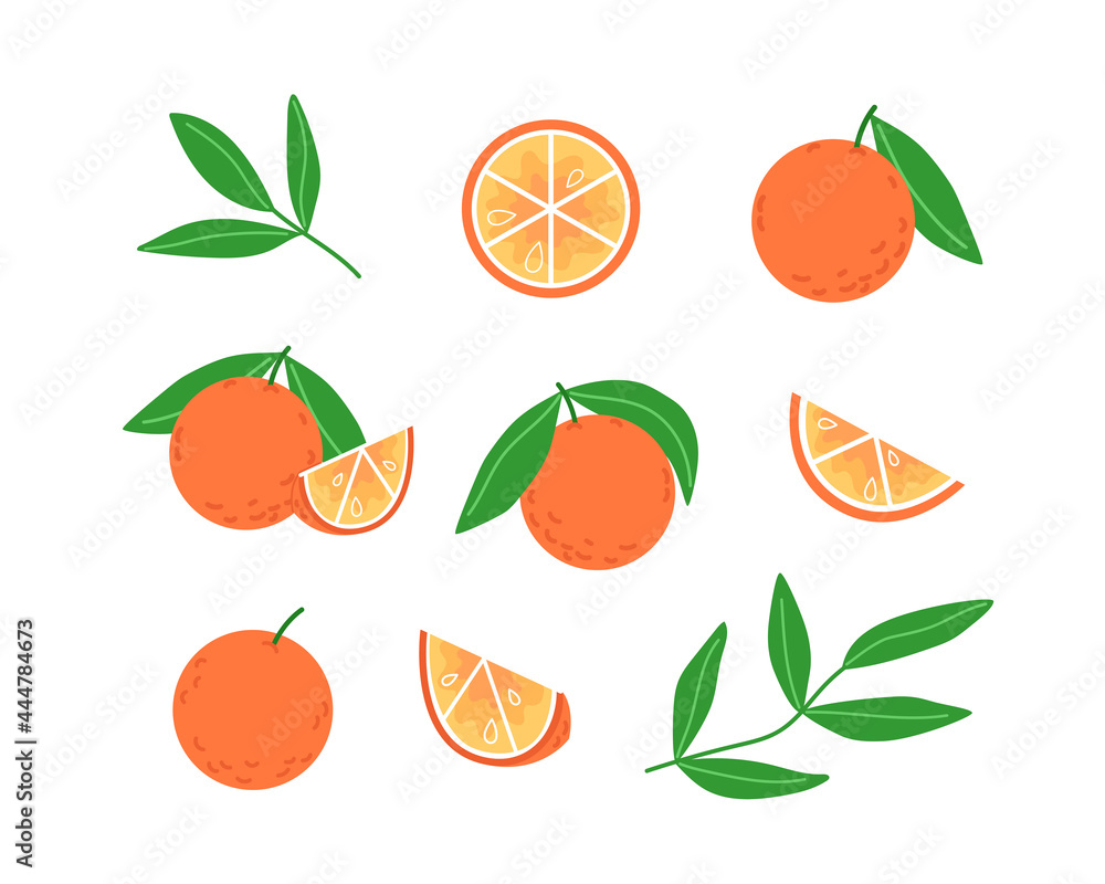 Collection of oranges and leaves in flat style Collection of oranges and leaves in flat style