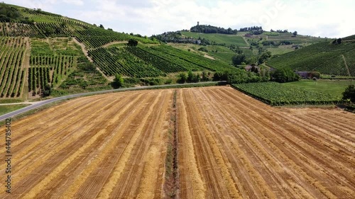 Europe, Italy Broni and Cigognola, Oltrepo Pavese - drone aerial view of freshly cut yellow wheat field and vineyards for wine production close to Pavia photo