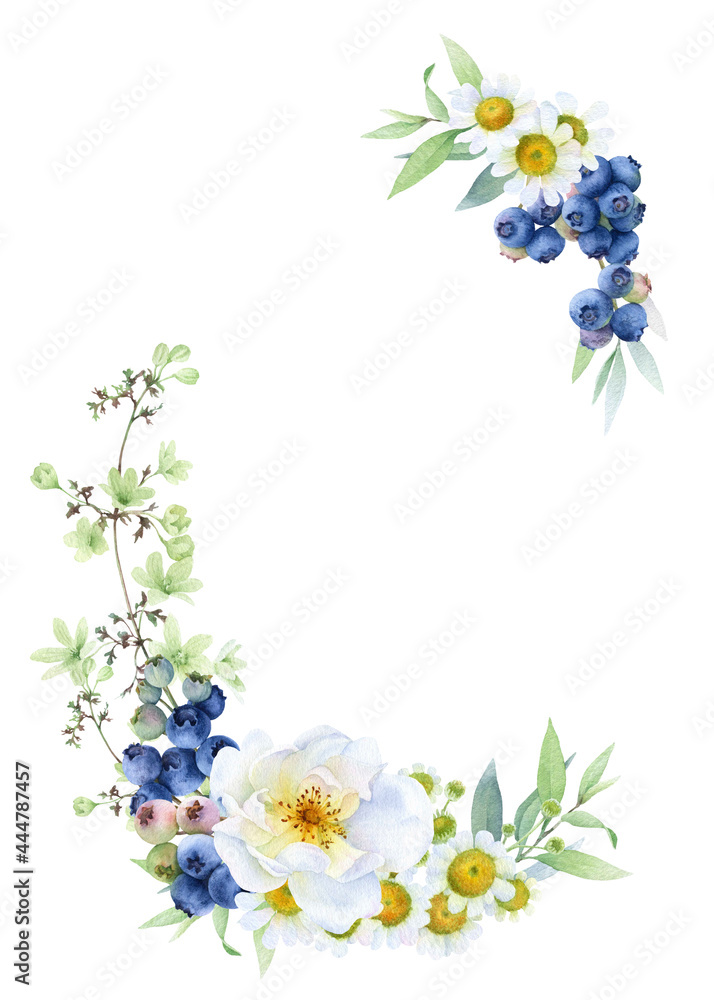 Floral frame with blueberries, white wild rose, chamomile, green flowers, leaves and herbs hand drawn in watercolor isolated on a white background. Watercolor illustration.	 Floral frame
