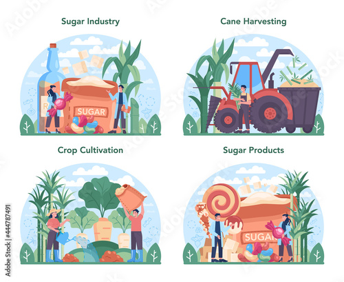Sugar production industry set. Saccharose and fructose extracted