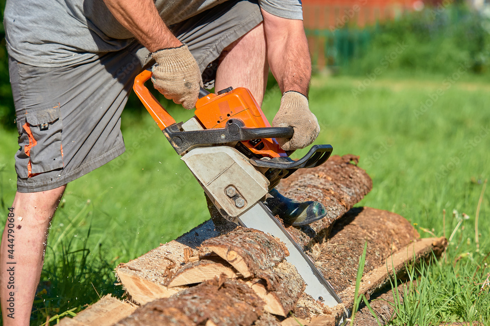 sawing timber with a chainsaw on a sunny day in summer sawing timber with a chainsaw on a sunny day in summer