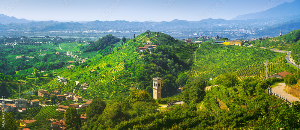 Prosecco Hills, vineyards panorama. Unesco Site. Valdobbiadene, Veneto, Italy - obrazy, fototapety, plakaty 