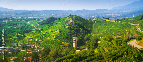Prosecco Hills, vineyards panorama. Unesco Site. Valdobbiadene, Veneto, Italy