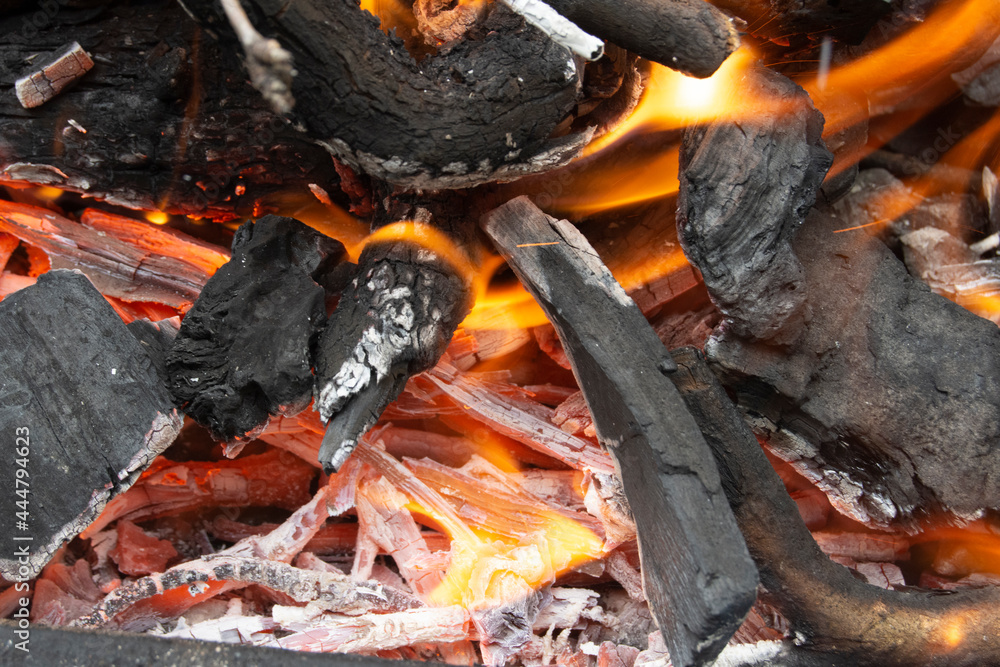 Fuego de carbón y leña en la barbacoa