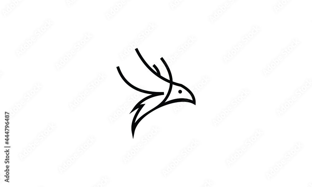 Obraz premium hawk line art