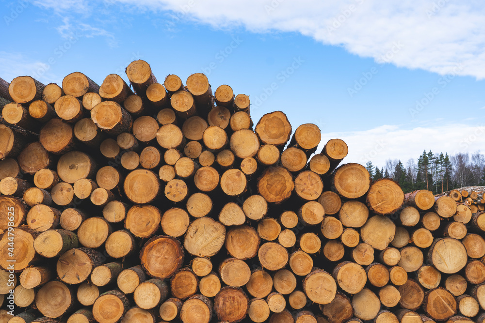 deforestation for roads, wood harvesting, wood as a renewable biological resource, deforestation area for highways deforestation for roads, wood harvesting, wood as a renewable biological resource, deforestation area for highways