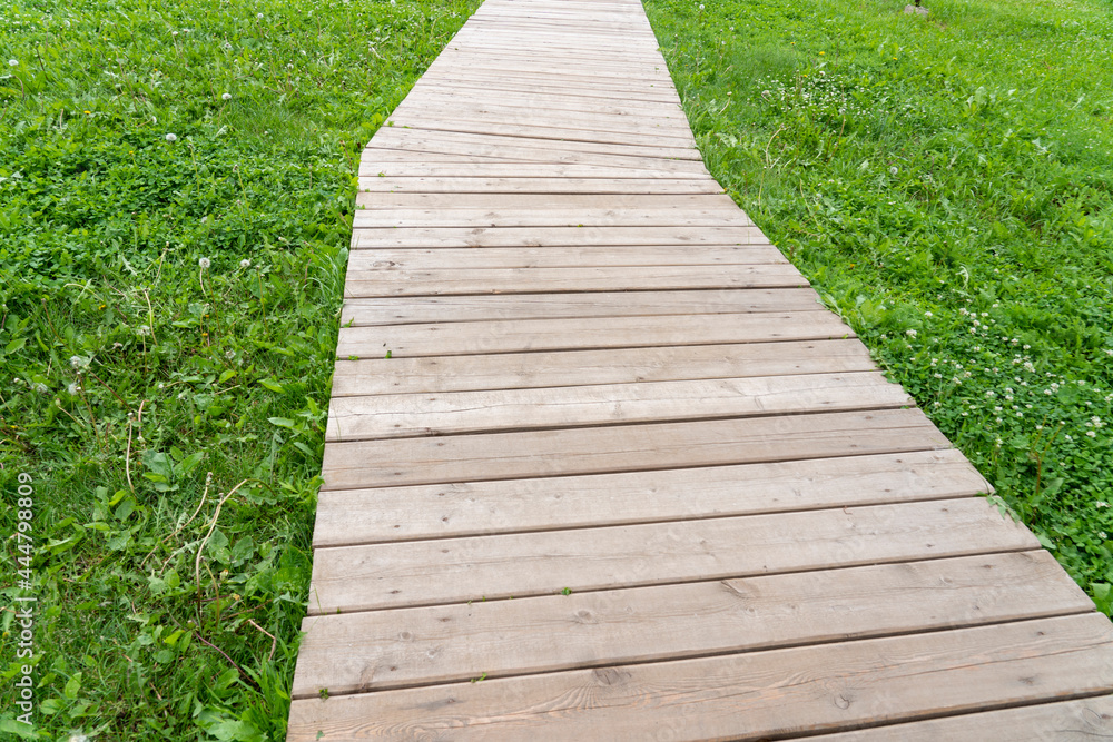the path in the park is made of wooden boards, beautiful paths in the garden are made of wooden bars the path in the park is made of wooden boards, beautiful paths in the garden are made of wooden bars