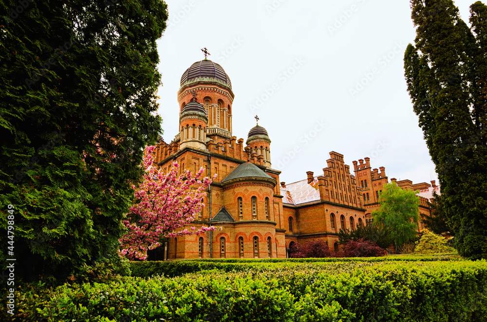 Panoramic view of Three Hierarchs Church with other ancient buildings. Blossom tree border. Blue sky background. UNESCO World Heritage Site. Famous touristic place and travel destination