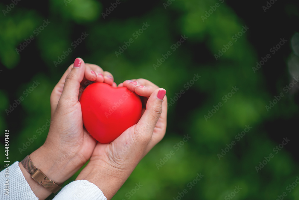 emale hand in the shape of a love heart Satisfaction Concept emale hand in the shape of a love heart Satisfaction Concept