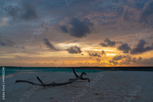 breathtaking view of the gorgeous sky at sunset from the pestled beach of the Maldives island