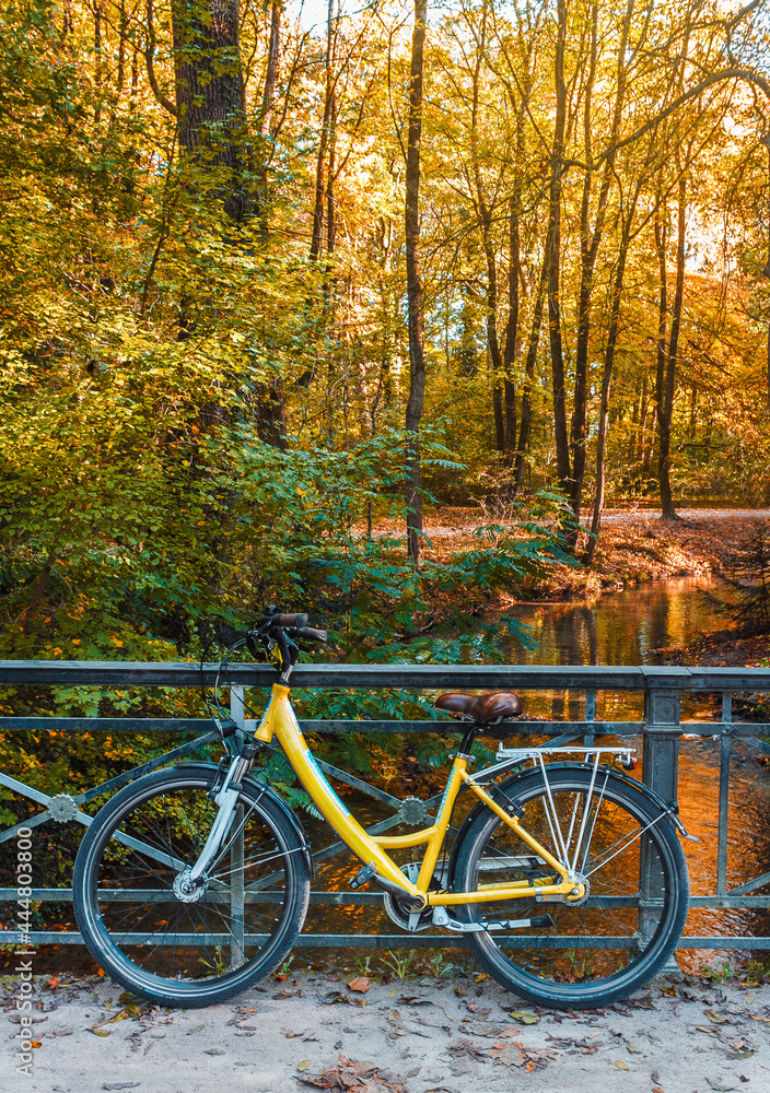 Bicycle on the autumn park background. Weekend walking outdoor. Autumn landscape