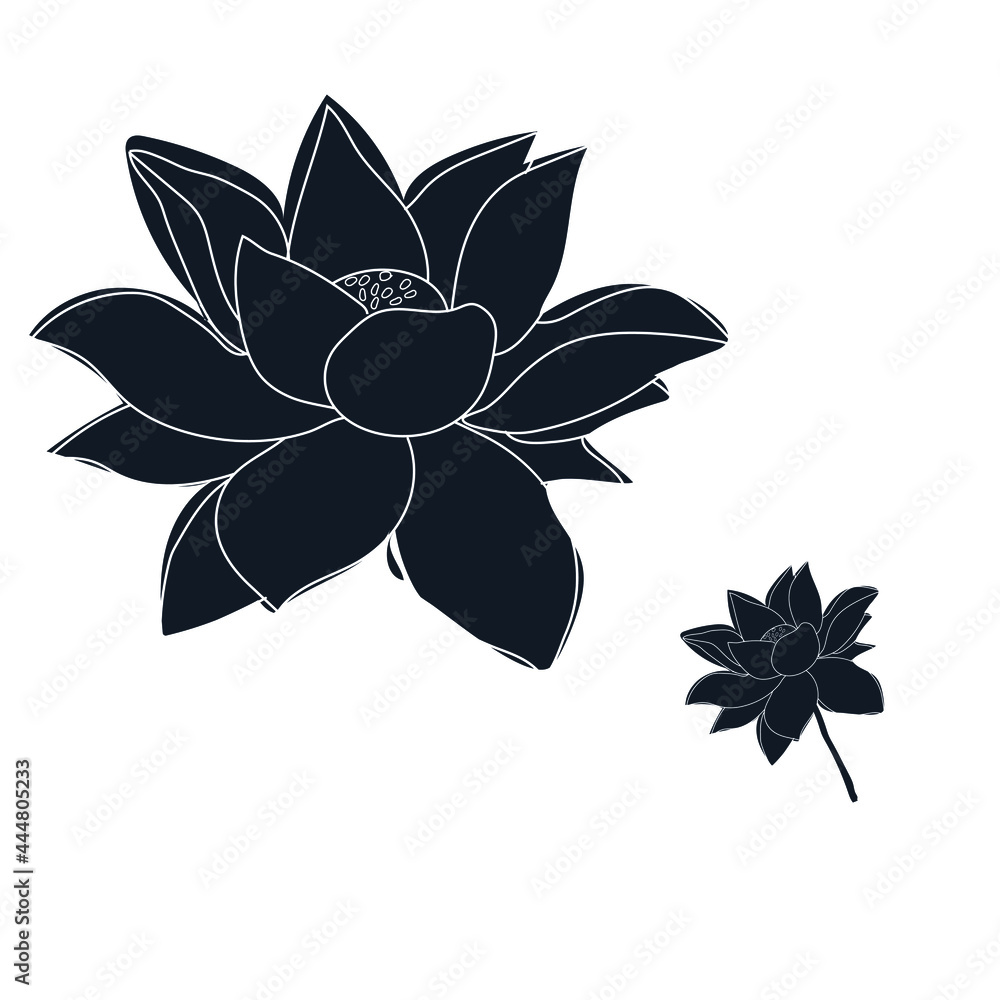 Obraz premium Lotus bloom vector silhouette stock illustration on white background