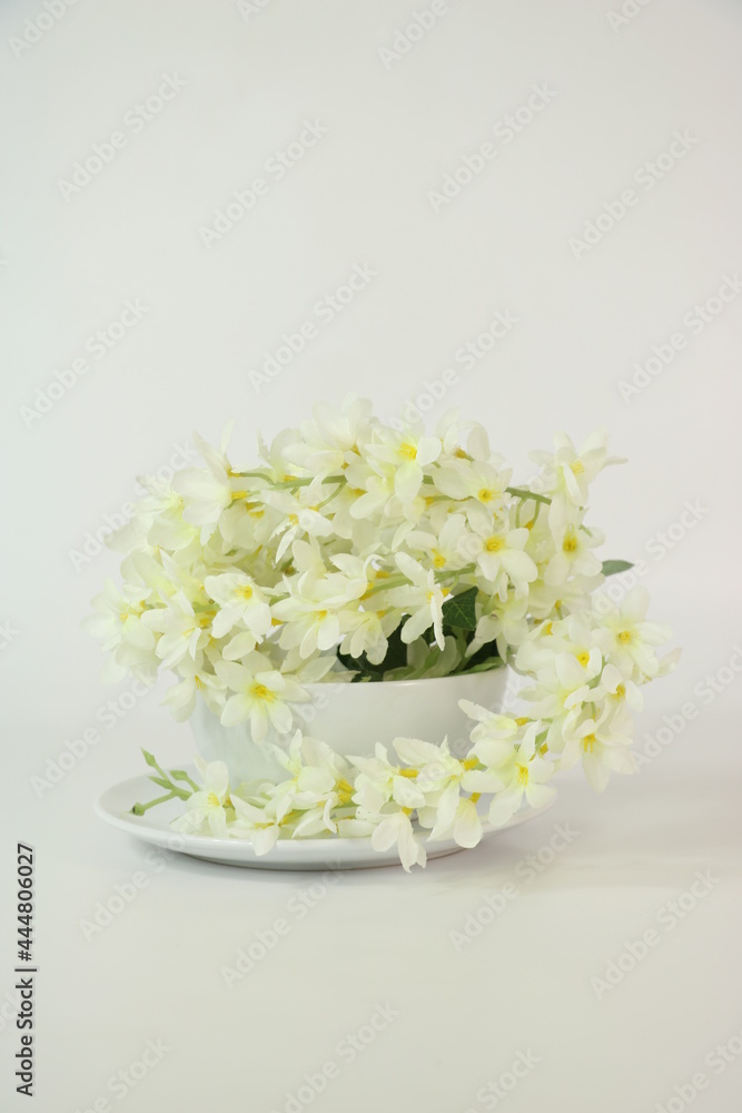 spring in a bowl spring in a bowl
