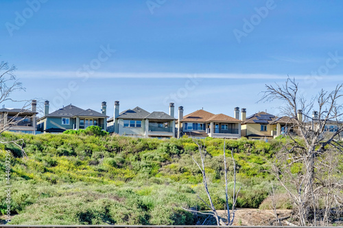 Houses amidst lush green foliage and blue sky at Huntington Beach California