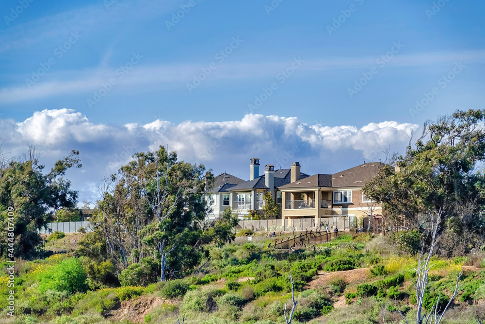 Houses trees and grassy land viewed from Bolsa Chica Ecological Reserve Houses trees and grassy land viewed from Bolsa Chica Ecological Reserve