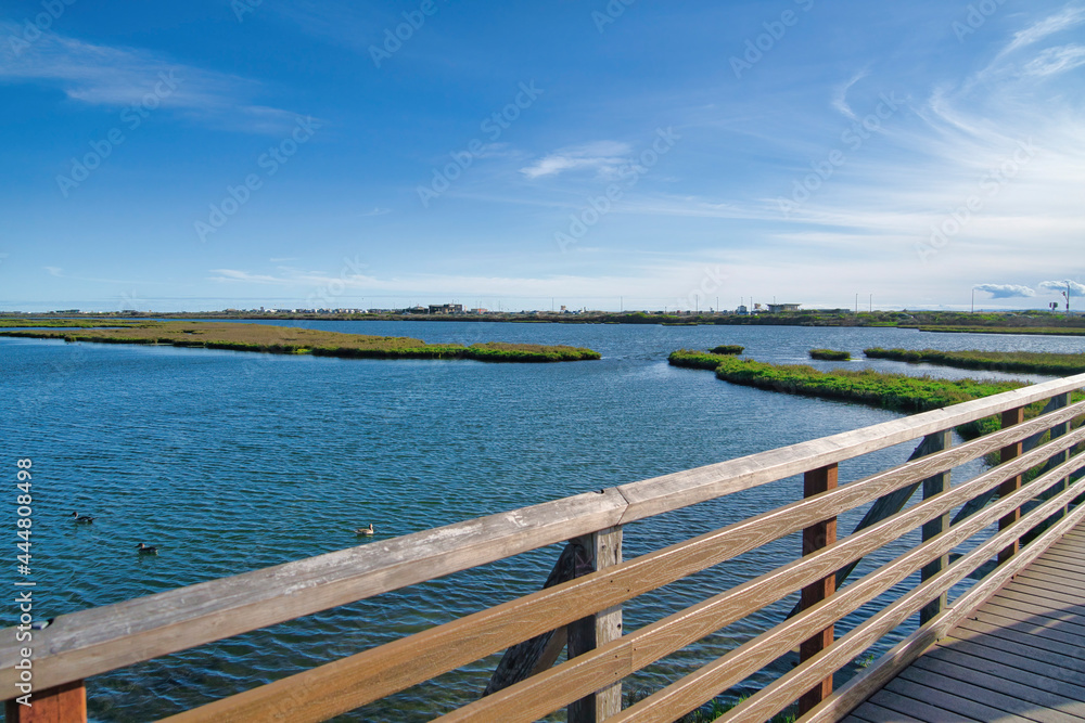 Obraz premium Bolsa Chica Ecological Reserve wetlands viewed from wood bridge on a sunny day