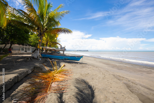 Panama Chiriqui province, tropical beach with palm trees in Puerto Armuelles photo