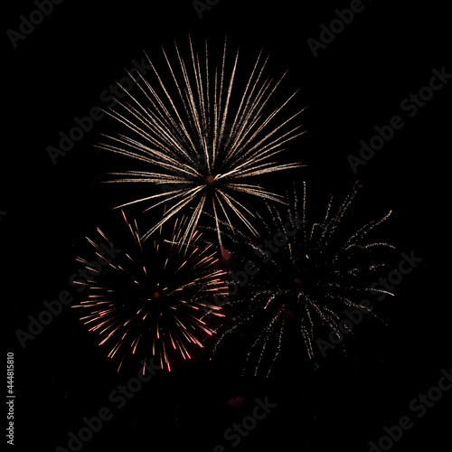 Fireworks against a black background