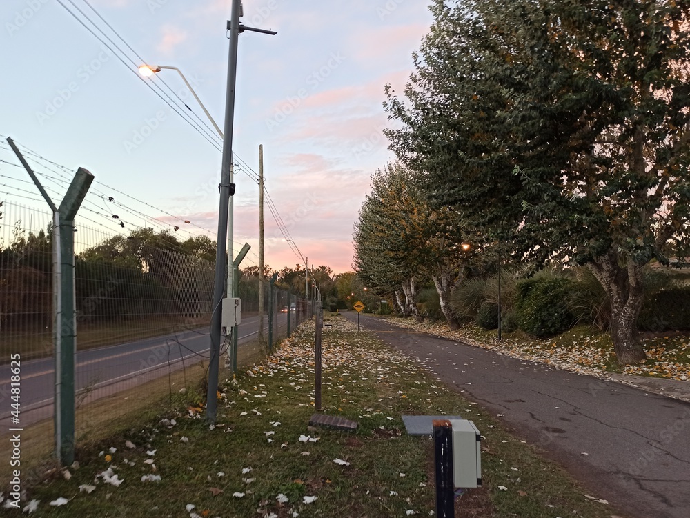 Obraz premium street in the city