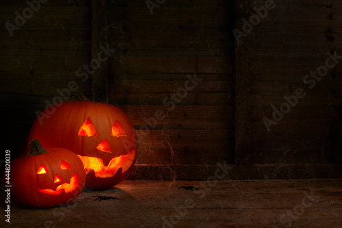 glowing pumpkins on a dark wooden cobweb background