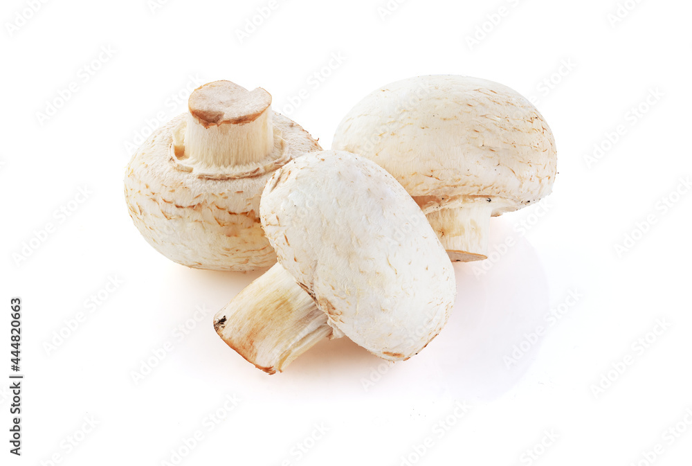 Champignon mushrooms. Three mushroom isolated on white background, close-up. Full depth of field. Champignon mushrooms. Three mushroom isolated on white background, close-up. Full depth of field.