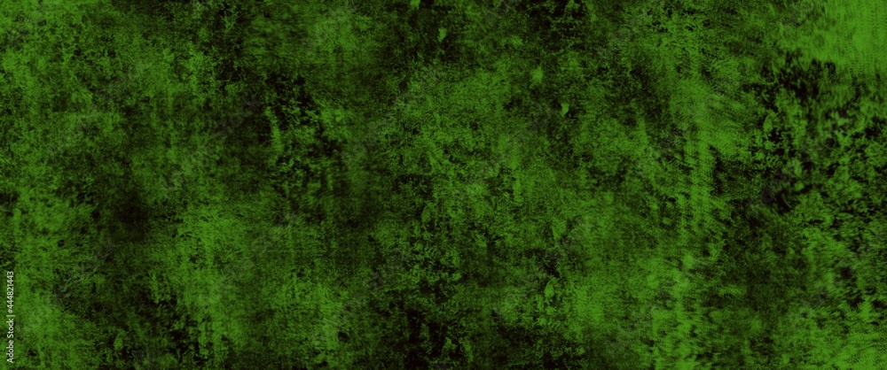 texture of grass texture of grass