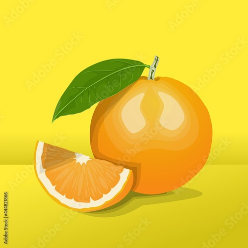 3d realistic vector of citrus fruit slices on a yellow background. Vector illustration. 