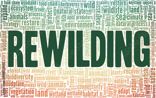 Rewilding vector illustration word cloud isolated on a white background.