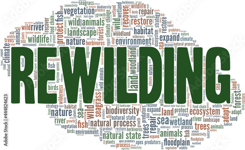 Rewilding vector illustration word cloud isolated on a white background.