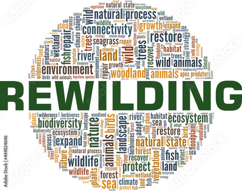 Rewilding vector illustration word cloud isolated on a white background.