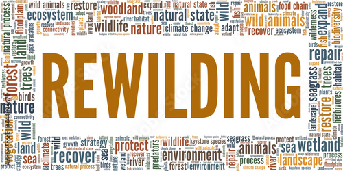 Rewilding vector illustration word cloud isolated on a white background.