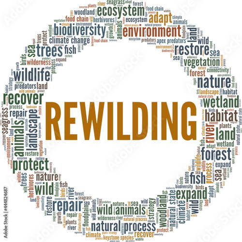 Rewilding vector illustration word cloud isolated on a white background.