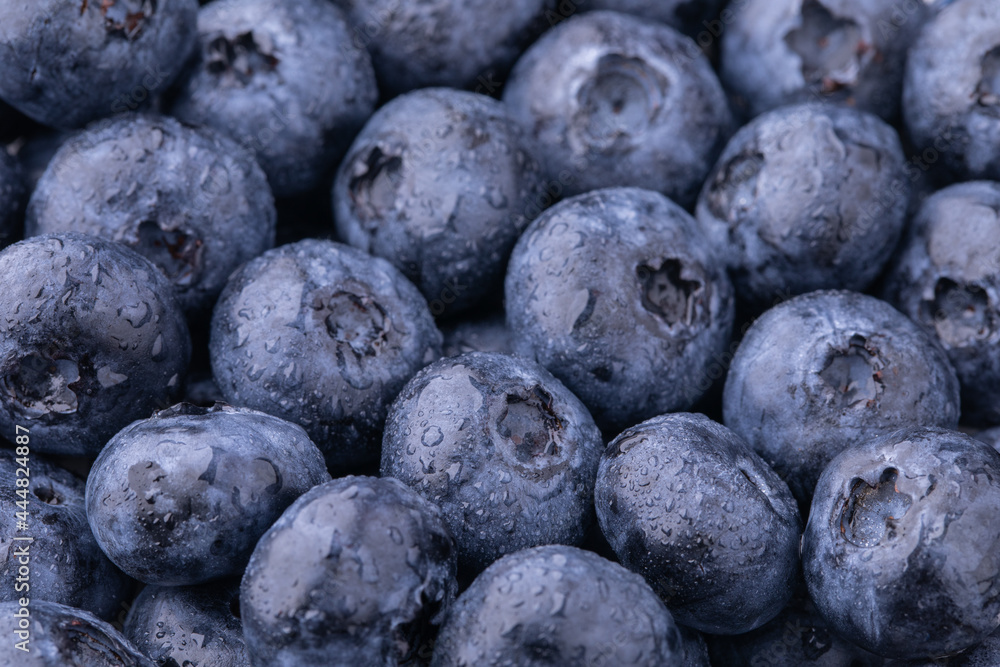 Blueberries closeup with water drops, blueberries background, food background Blueberries closeup with water drops, blueberries background, food background