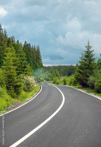 Winding highway in summer forest