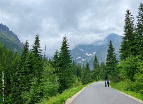 The Polish Tatras, the road to Morskie Oko, the landscape of Polish nature, mountains and trees