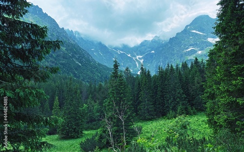 Canvas Print The Polish Tatras, the road to Morskie Oko, the landscape of Polish nature, moun