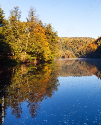 Ohre river and autumnal view forest mirroring lake