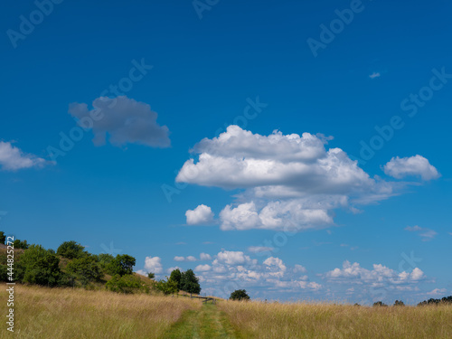 Countryside landscape with tall yellow grass and path leading to a gate. Blue sky and some white clouds. Hot summer day.