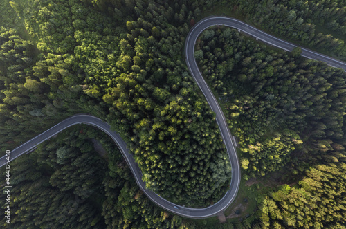 Beautiful winding road in green forest