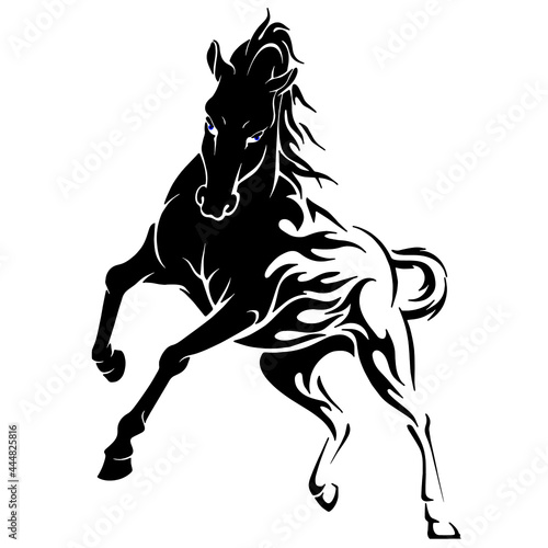 silhouette of a horse