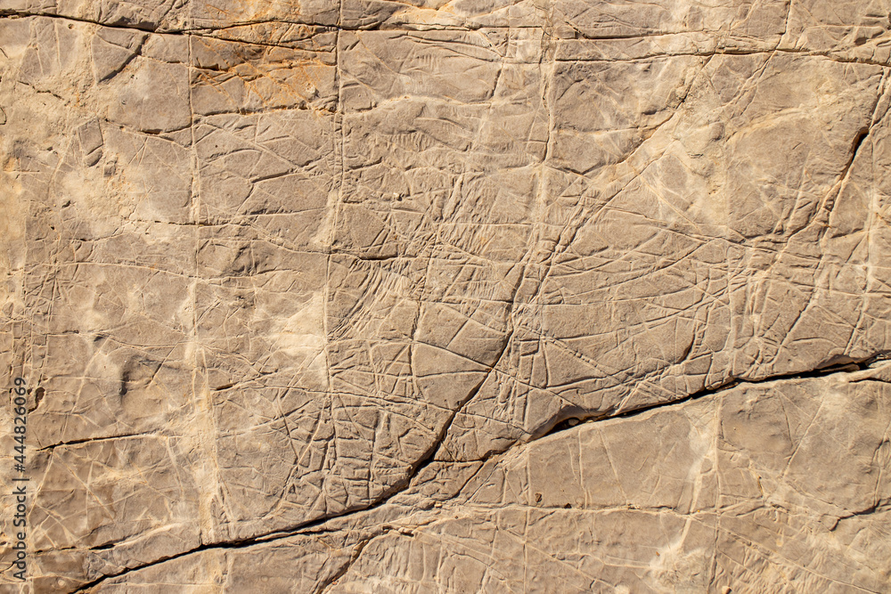 weathering marks on ancient sea rock weathering marks on ancient sea rock