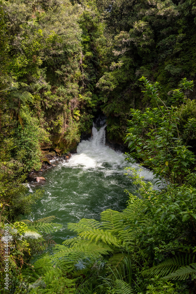 Naklejka premium Cascade at Caituna river near Rotorua, New Zealand