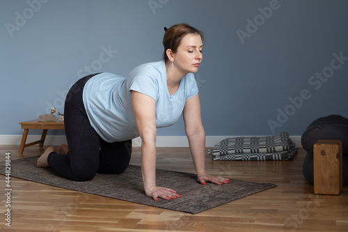 Prenatal yoga meditation. Pregnant woman doing cat yoga pose at home photo