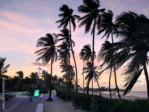 La magia nació en San Andrés