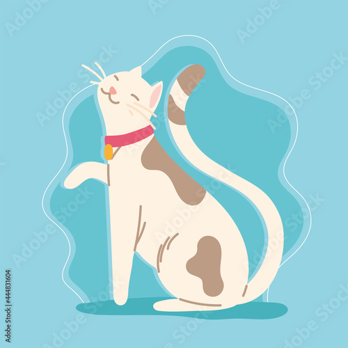 cute cat pet