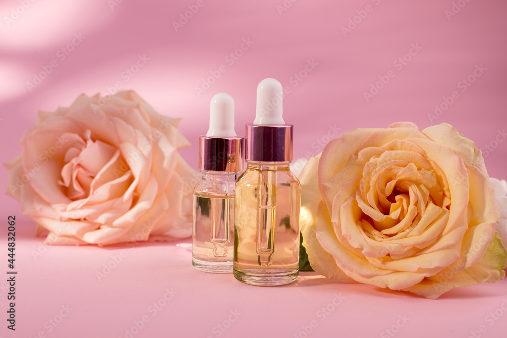 Essential rose oil in cosmetic bottle near fresh rose flowers against pink background. Essential rose oil in cosmetic bottle near fresh rose flowers against pink background.