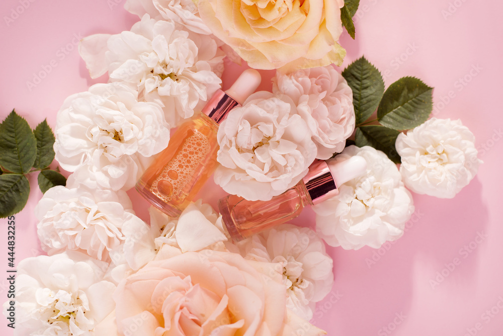 Essential rose oil in cosmetic bottle near fresh rose flowers against pink background.