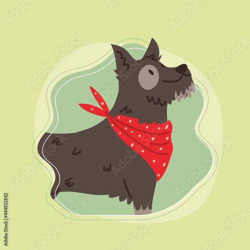 cute dog pet