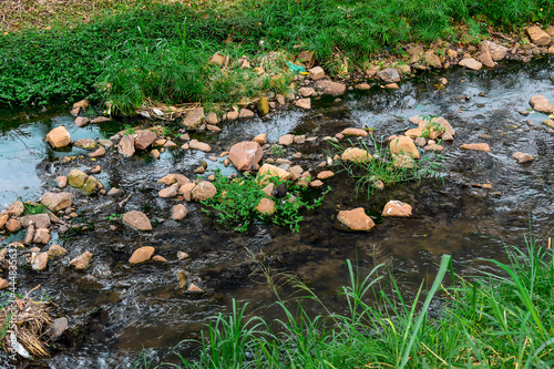Pequeno rio com pedras e grama verde