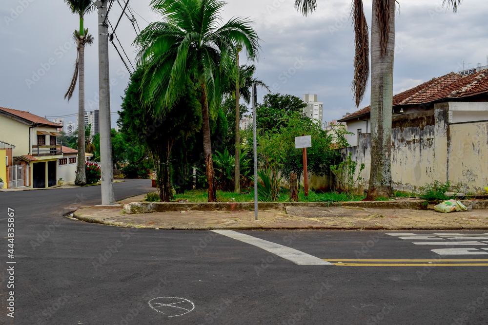 Lote vazio com palmeira em rua de bairro residencial brasileiro